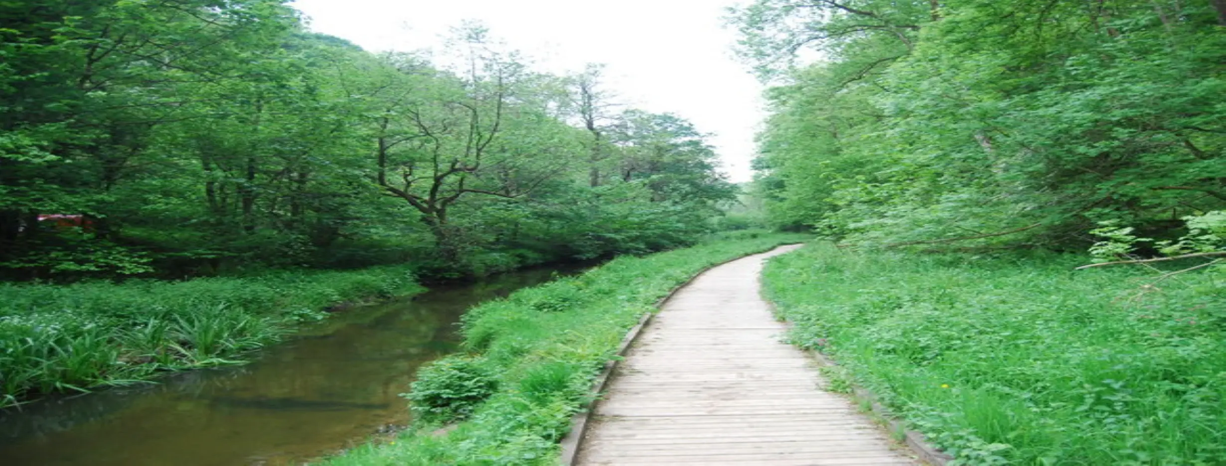 Image for Riverside Walks